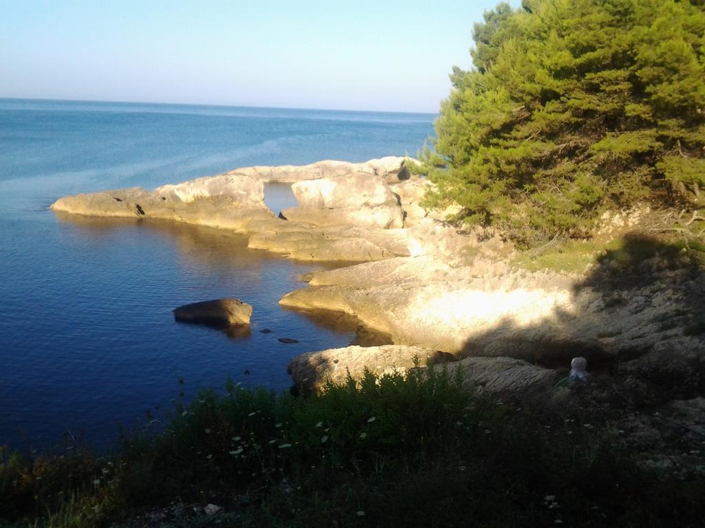 Guest House Aldin Ulcinj Luaran gambar